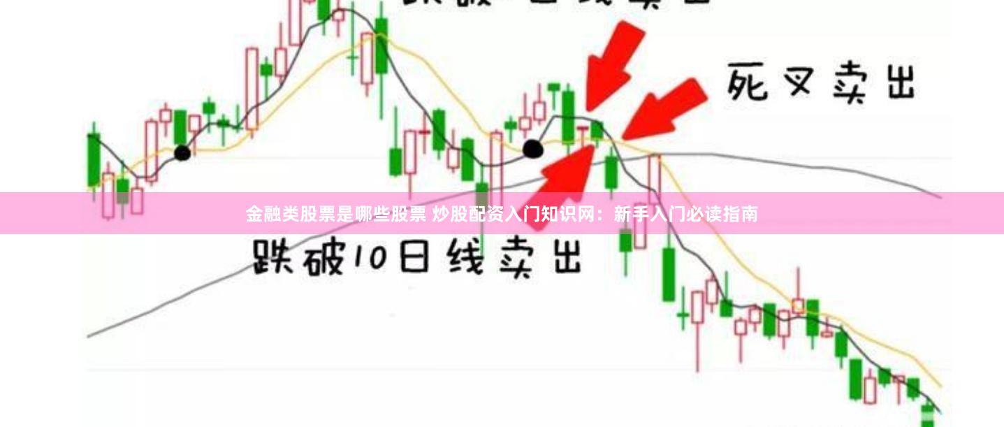 金融类股票是哪些股票 炒股配资入门知识网：新手入门必读指南