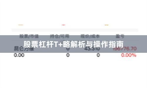 股票杠杆T+略解析与操作指南